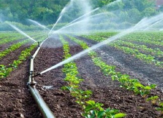 Εξόφληση ανά μέλος προτείνει η ΔΕΗ για τα 2,2 εκ. ευρώ του ΤΟΕΒ Μάτι Τυρνάβου