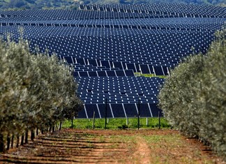 Άφαντο το φωτοβολταϊκό πάρκο της πλουσιότερης Ρωσίδας στα Φάρσαλα