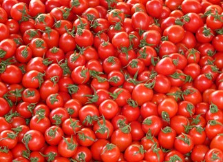 Προβληματισμός στη Θεσσαλία για τη βιομηχανική ντομάτα