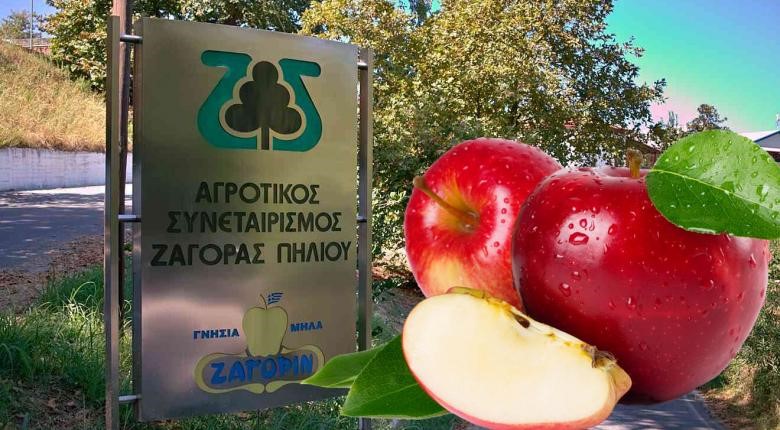 "Περιπετειώδης" εξαγωγή μήλων Ζαγορίν στην Αιθιοπία