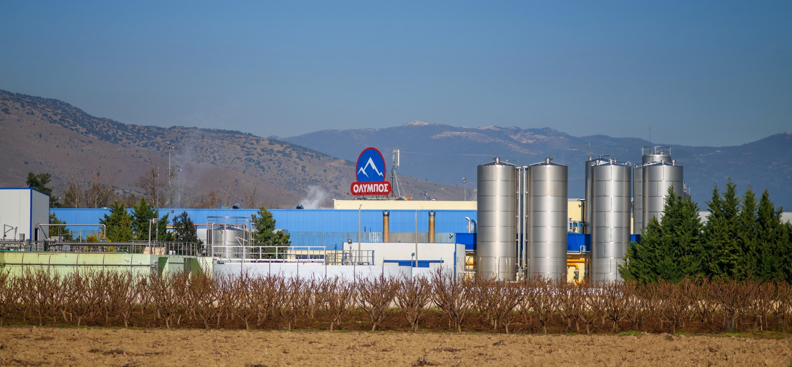 Μπόνους 1,5 εκ. ευρώ από την ΟΛΥΜΠΟΣ σε εργαζομένους και κτηνοτρόφους