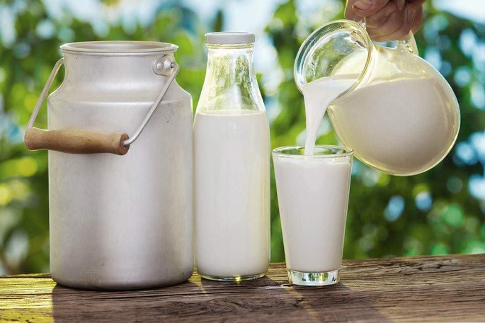 Θεσσαλικές παρουσίες στο Dairy Conference της Boussias